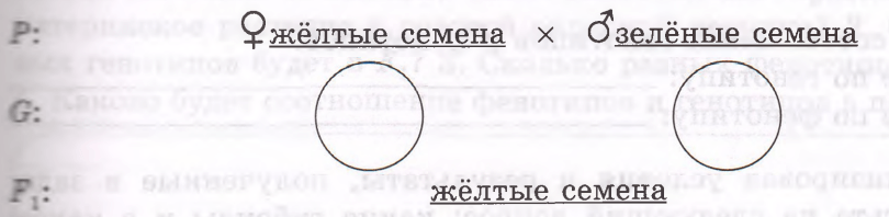 Задание рисунок 1